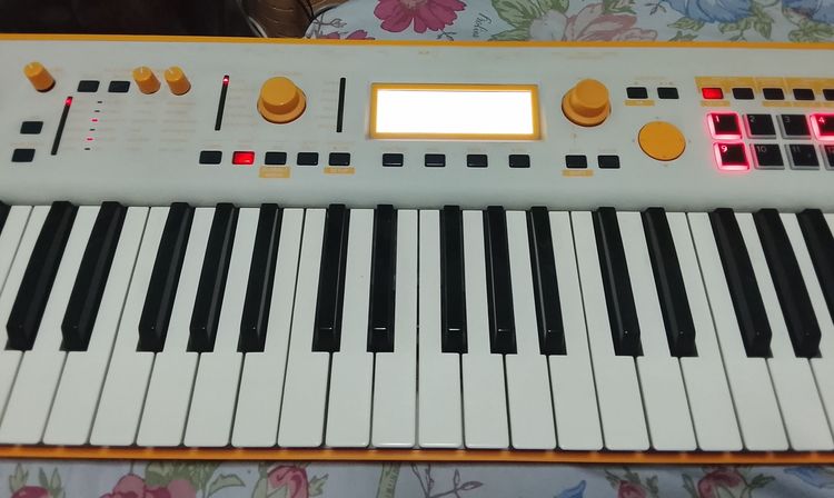 Korg Kross2 สภาพดี สี Limited พร้อมแซม อ. ต้าร์ พร้อม Adapter แท้ รูปที่ 2