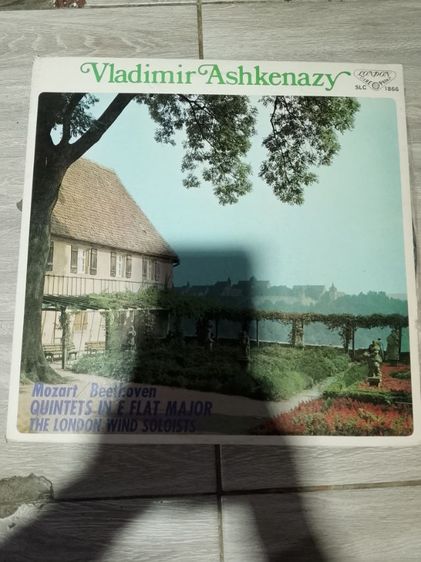 แผ่นเสียง รูปที่ 6