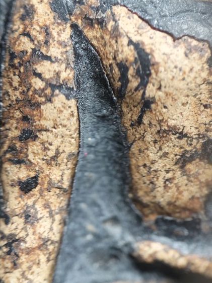 พระเปิมลำพูนลงรักครับ รูปที่ 7