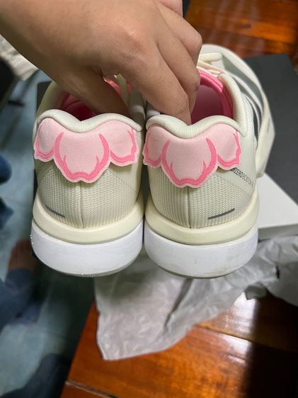 boston13 รูปที่ 5