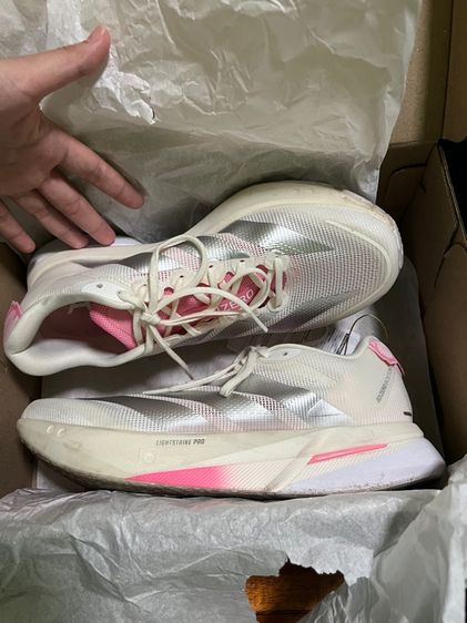 boston13 รูปที่ 3