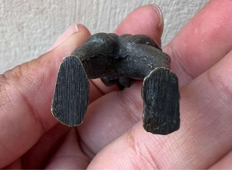 แม่เป๋อเก่า ผิวหิ้งๆ รูปที่ 4