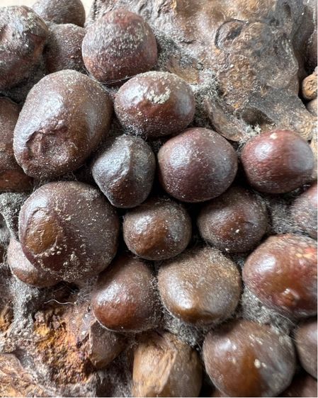 เหล็กไหลตาน้ำ ก้อนใหญ่ หายากมาก รูปที่ 5