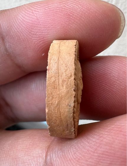 พระผงดวงเศรษฐี รวยทันใจ หลวงปู่หมุน รูปที่ 6