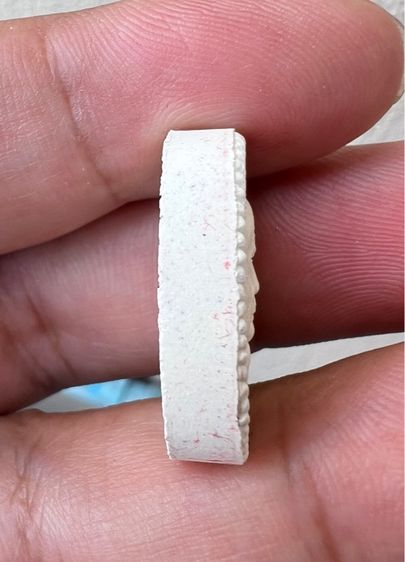 พระผงดวงเศรษฐี รวยทันใจ หลวงปู่หมุน รูปที่ 3