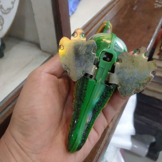 ไดโนไขลาน รูปที่ 5