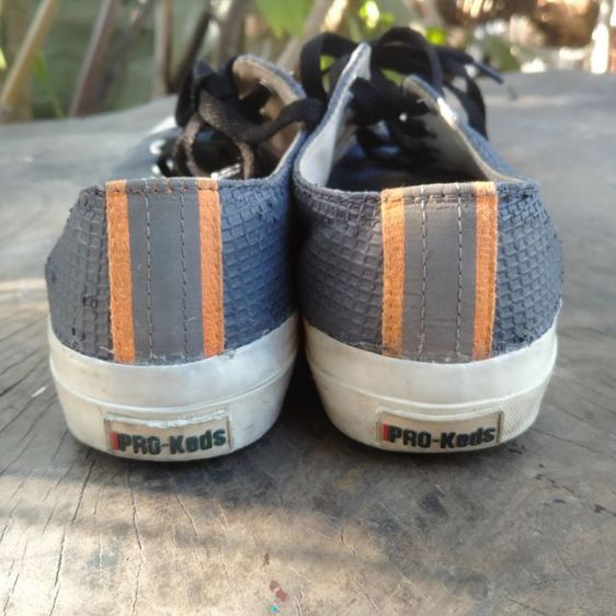 pro keds รูปที่ 8