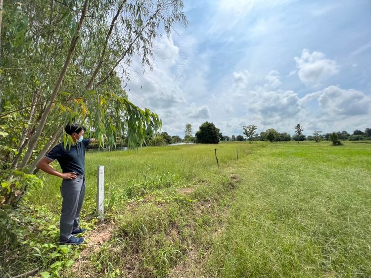 ขายด่วน ที่ดินจ.กาฬสินธุ์ อ.ยางตลาด ต.หัวนาคำ 6 ไร่ 3าน