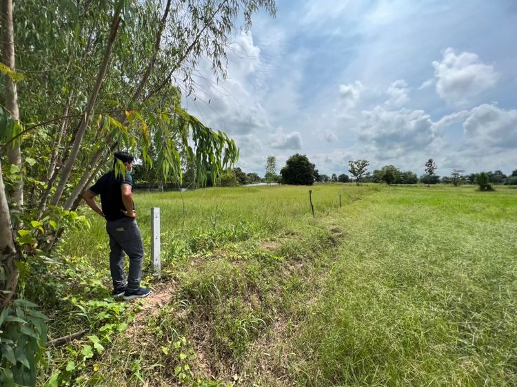 ขายด่วน ที่ดินจ.กาฬสินธุ์ อ.ยางตลาด ต.หัวนาคำ 6 ไร่ 3าน รูปที่ 2