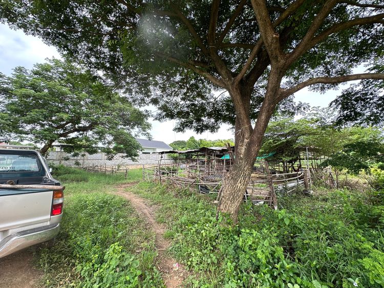 ขายด่วนที่ดิน 2 งาน ซ.ศรีจันทร์39 จ.ขอนแก่น อ.เมือง รูปที่ 3