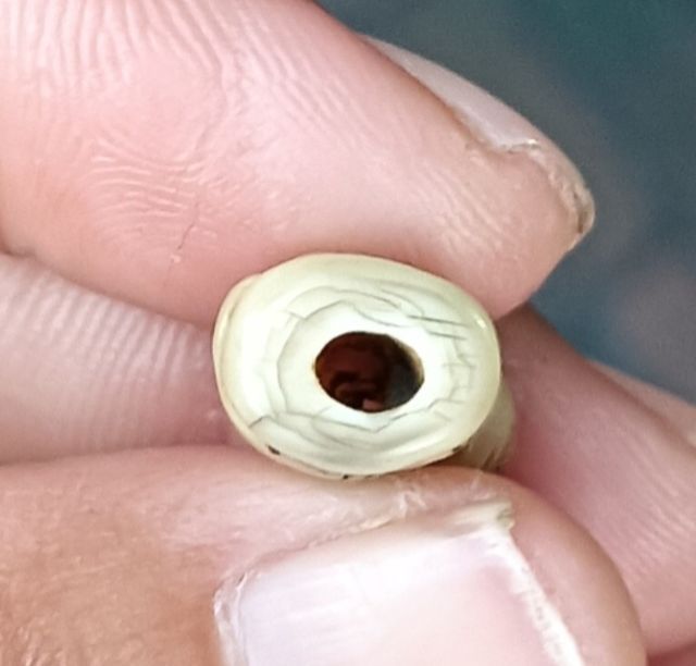  ส จิ๋ว 1 องค์ รูปที่ 9