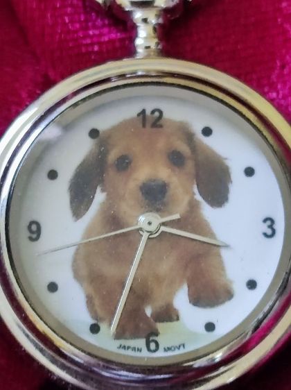 พวงกุญแจ Pocket Watch Keychain ควอตซ์ หน้าปัดสุนัขดัชชุน รูปที่ 4