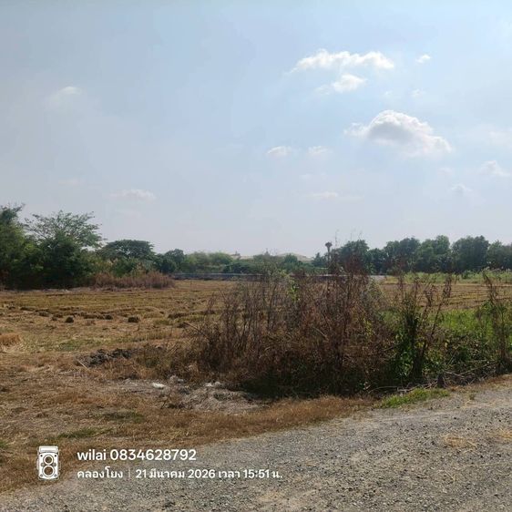 ขายที่ดินใกล้ราชภัฎสวนสุนันทา 947 ตรว  ติดด่วน M81 ต.คลองโยง อ.พุทธมณฑล.นครปฐม  
