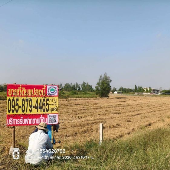 ขายที่ดินใกล้ราชภัฏสวนสุนันทา 317 ตรว ติดถนนสาธารณะ ต.คลองโยง อ.พุทธมณฑล จ.นครปฐม  รูปที่ 3