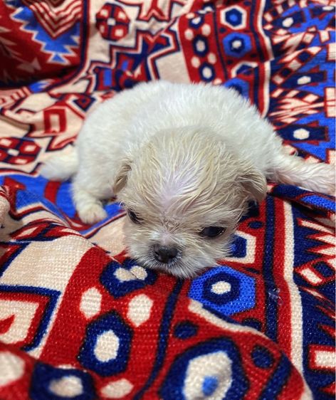 ปักกิ่ง รูปที่ 9