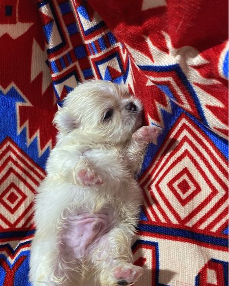 ปักกิ่ง รูปที่ 13