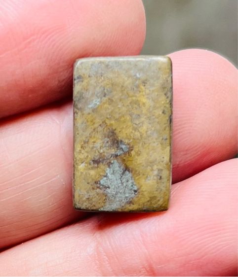 หลวงปู่ศุข รูปที่ 2