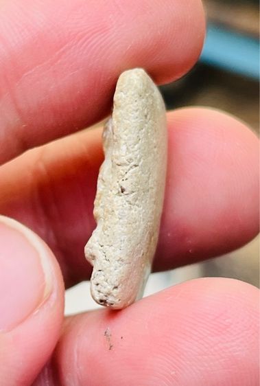 หลวงปู่เผือก รูปที่ 5