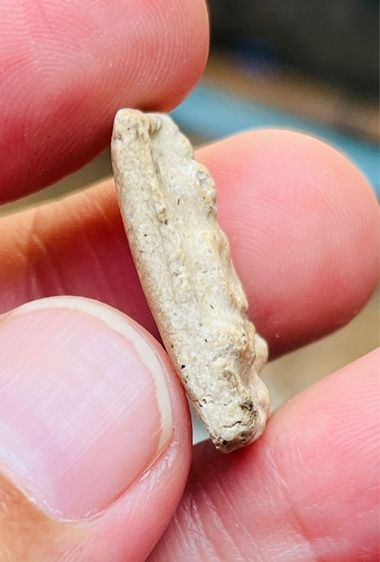 หลวงปู่เผือก รูปที่ 3