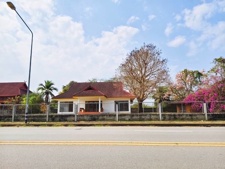 ไม่มี 2014 ✴️ขายบ้านพร้อมที่ดินทำเลเยี่ยม(ติดถนนหลักทางไปวัดพระธาตุช่อแฮ🛕อ.เมืองจ.แพร่) รูปที่ 2