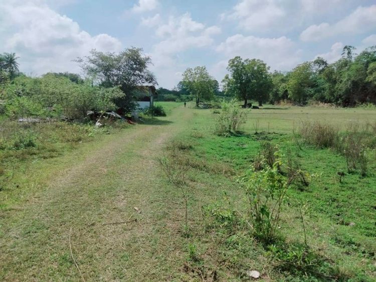 ใช่ ทีขายที่ดินพนัสนิคมตำบลหมอนทอง รูปที่ 3