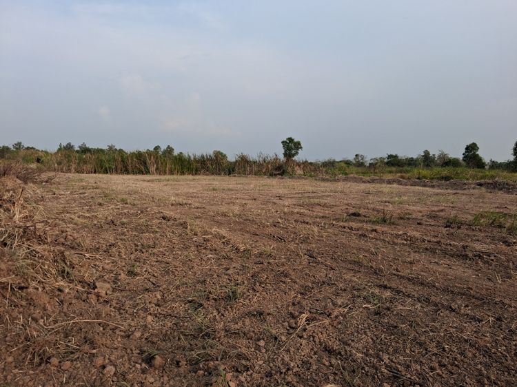 ที่ดินติดถนนซอย ใกล้โรงงานผลิตอาหารเสริมและเครื่องสำอางค์ รูปที่ 3