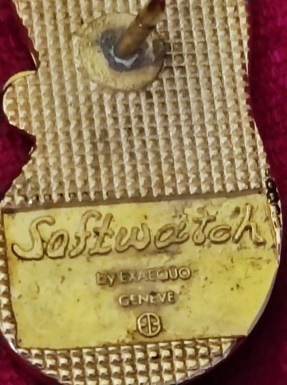  Brooch Pin คอลเลกชัน Softwatch by Exaequo Geneve  รูปที่ 7