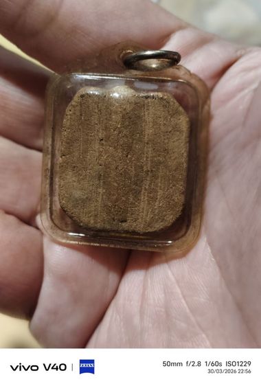 หลวงพ่อปาน  รูปที่ 7