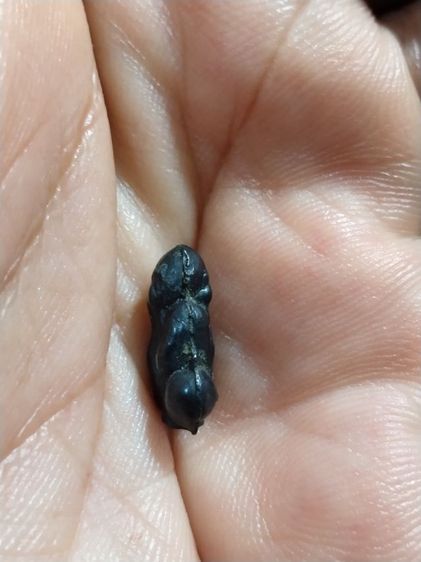 เก่าแวะมาดูครับ รูปที่ 3