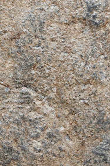 พระเนื้อว่าน หลวงพ่อทวด วัดช้างให้ พิมพ์พระรอด ปี 2497 รูปที่ 5