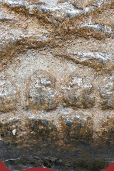 พระเนื้อว่าน หลวงพ่อทวด วัดช้างให้ พิมพ์พระรอด ปี 2497 รูปที่ 17