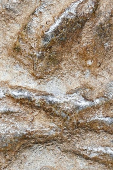 พระเนื้อว่าน หลวงพ่อทวด วัดช้างให้ พิมพ์พระรอด ปี 2497 รูปที่ 7