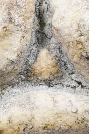 พระปิดตาหลวงพ่อแก้ว วัดเครือวัลย์ พิมพ์ใหญ่ รูปที่ 7