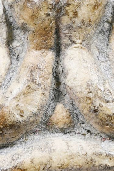 พระปิดตาหลวงพ่อแก้ว วัดเครือวัลย์ พิมพ์ใหญ่ รูปที่ 6