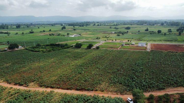 ที่ดิน 10 ไร่ คลองม่วง ปากช่อง นครราชสีมา ที่ดินเนินวิวสวย ติดถนนในซอย ใกล้เส้นหลัก 3060 (เจ้าของขายเอง) รูปที่ 4