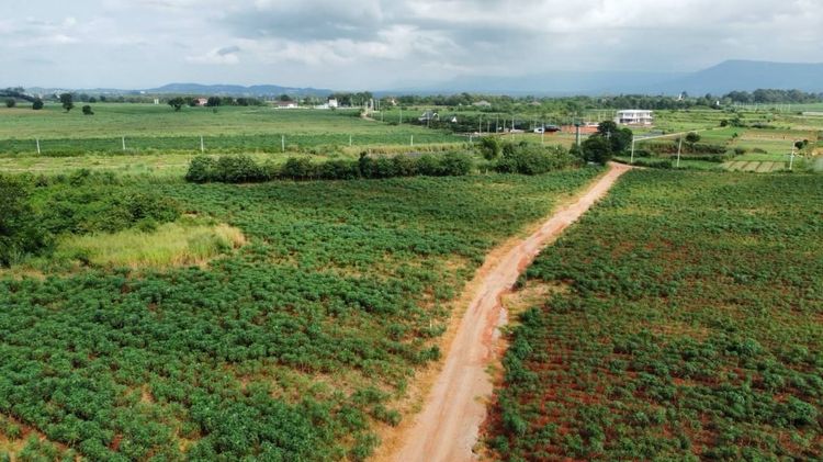 ที่ดิน 10 ไร่ คลองม่วง ปากช่อง นครราชสีมา ที่ดินเนินวิวสวย ติดถนนในซอย ใกล้เส้นหลัก 3060 (เจ้าของขายเอง) รูปที่ 2