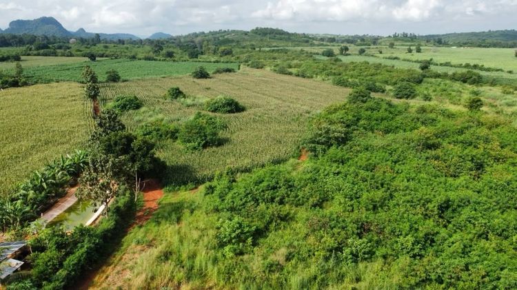 ที่ดิน 10 ไร่ คลองม่วง ปากช่อง นครราชสีมา ที่ดินเนินวิวสวย ติดถนนในซอย ใกล้เส้นหลัก 3060 (เจ้าของขายเอง) รูปที่ 3