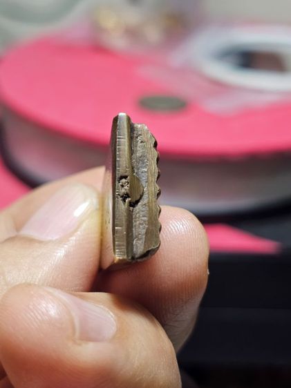 เคารีดเนื้อนวะ รูปที่ 5