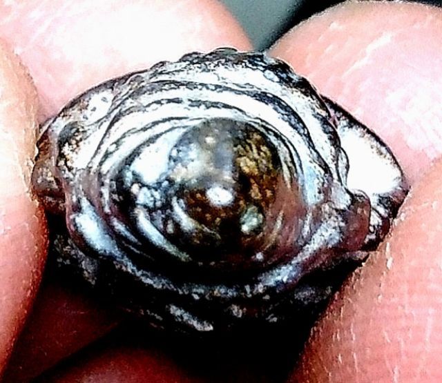 พระปิดตา รูปที่ 17