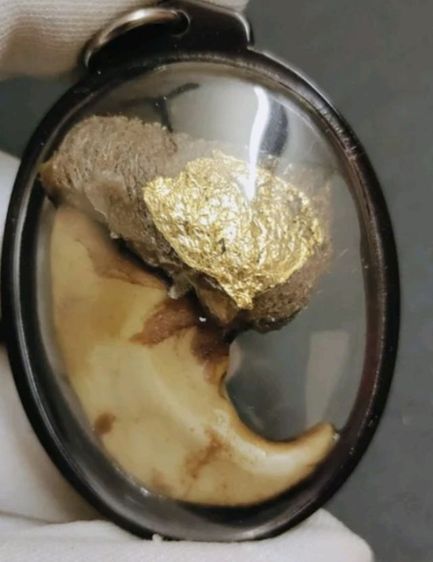 เชิญกดเลื่อนชมภาพ พระกรุเก่า แปลกมีเพียง 7 ชิ้น  รูปที่ 15