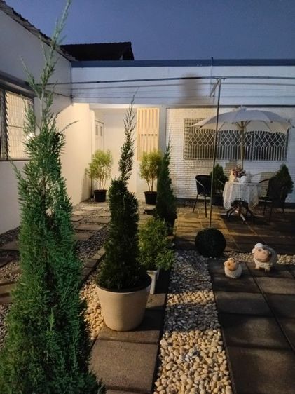 อื่นๆ ตกแต่งครบ 2020 ใช่ บ้านเดี่ยวขนาด100 ตรว. ราคาถูกในแจ้งวัฒนะมีสนามให้2สนามเลี่ยงน้องหมาใด้สบาย รูปที่ 2