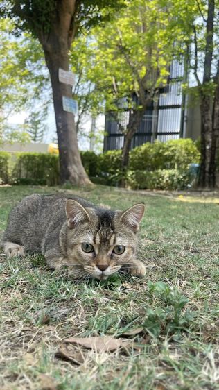 ลดประชากร รูปที่ 5