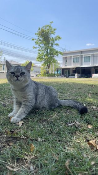 ลดประชากร รูปที่ 2