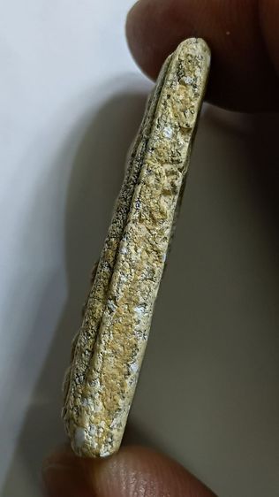 พระสมเด็จ ตามภาพ รูปที่ 2