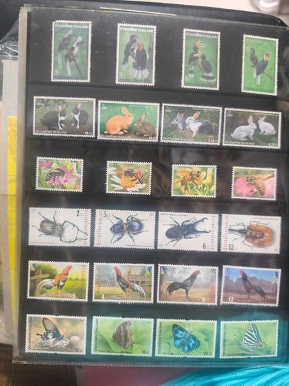 สแตมป์ หายาก สภาพดี เหมาะสำหรับนักสะสม สนใจทักสอบถาม ต่อรองได้ รูปที่ 11