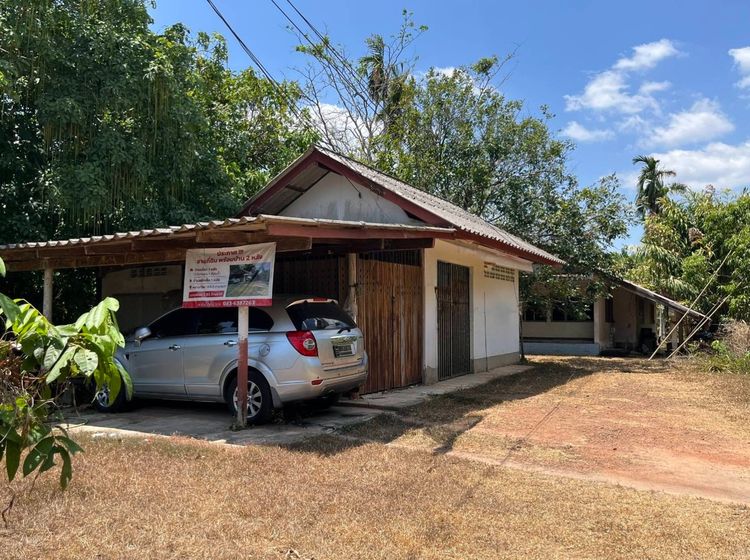 อื่นๆ ขายบ้าน 2 หลัง ติดถนนทางหลวง สายเพชรเกษม อ.นาโยง ต.ละมอ จ.ตรัง รูปที่ 2