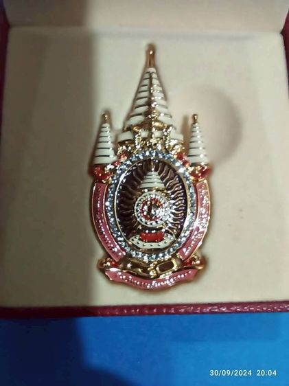 เข็มกลัดที่ระลึกตราสัญลักษณ์ รูปที่ 13