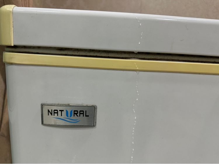 ตู้แช่ เนชอรัล 10.2Q รูปที่ 2