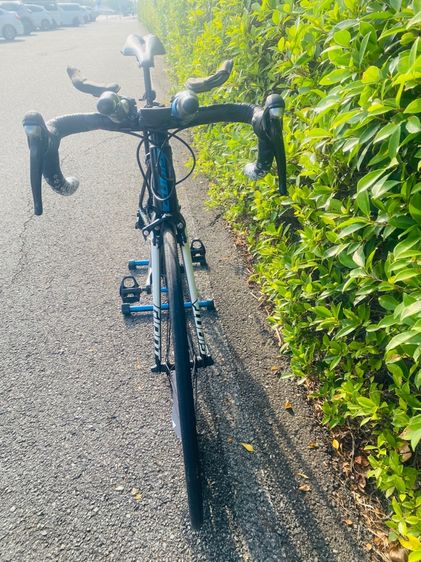 จักรยานเสือหมอบ Giant TCR Size 50 รูปที่ 3