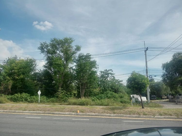 ขายที่ดิน 4 ไร่ ทำเลศักยภาพ หน้าโรงพยาบาล รูปที่ 4